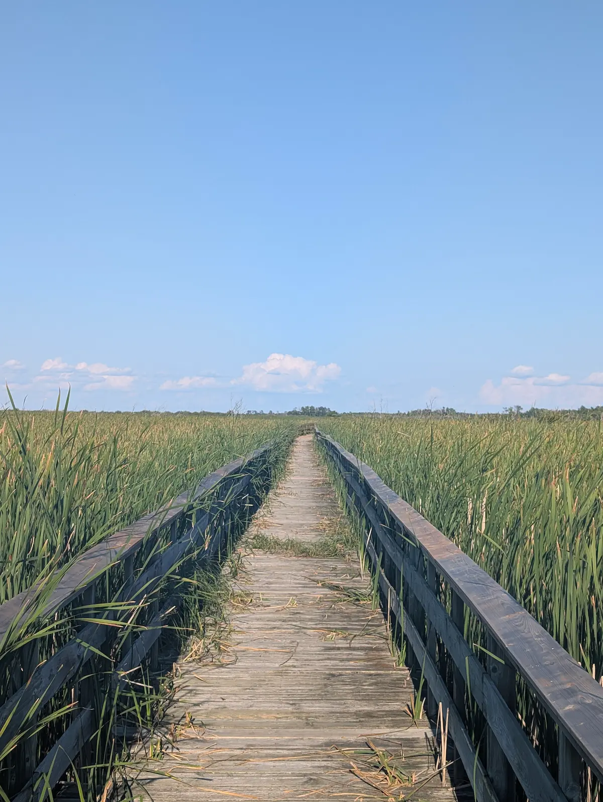 The boardwalk down to the water.